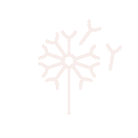 1822-dandelion-outline.gif